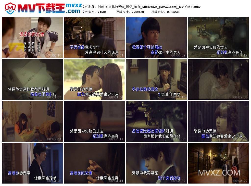 阿赖-谢谢你的无情_国语_流行_MB408525